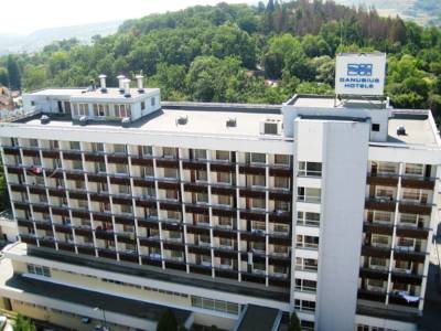 Hotel Danubius Health Spa Resort Sovata