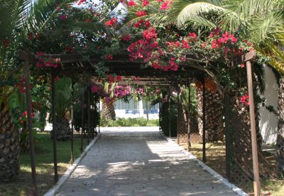 Imagine Hotel Princess Of Kos