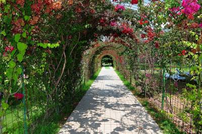 Imagine Hotel Daima Biz Resort