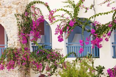 Imagine Hotel Aegean Plaza