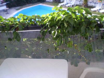Imagine Hotel Calypso