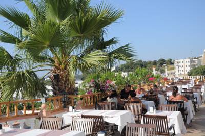 Imagine Hotel Palm Garden