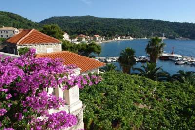 Imagine Vila Vilina