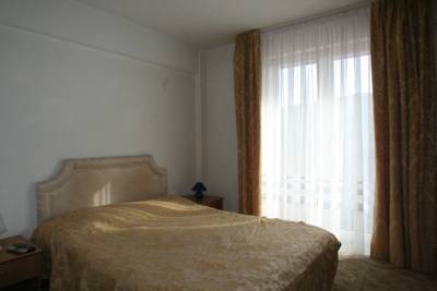 Imagine Cabana Trei Brazi