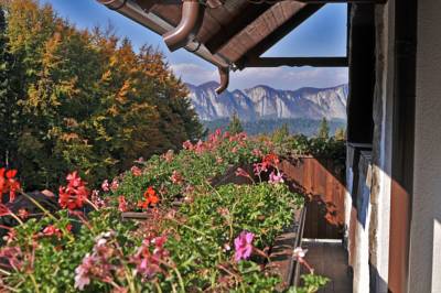 Imagine Cabana Vanatorilor