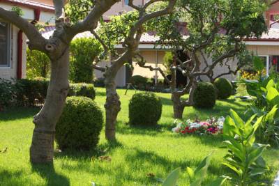 Imagine Vile Vox Maris Grand Resort