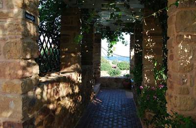 Imagine Hotel Venus Studios