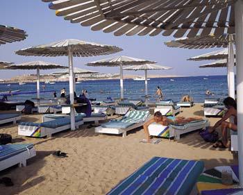 Imagine New Tiran