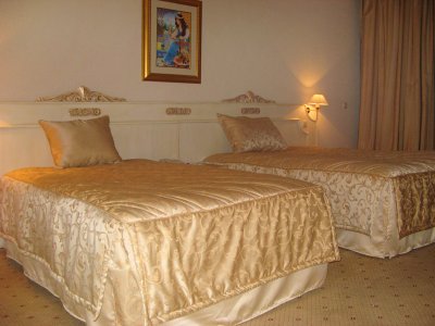 Imagine Hotel Amir Palace