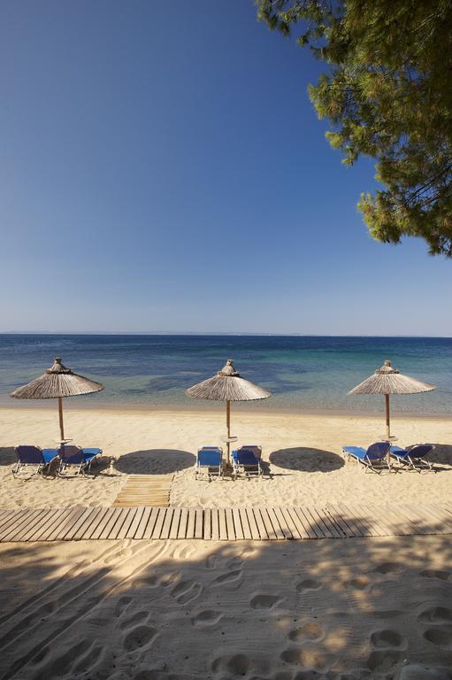 Imagine Hotel Blue Dolphin Superior