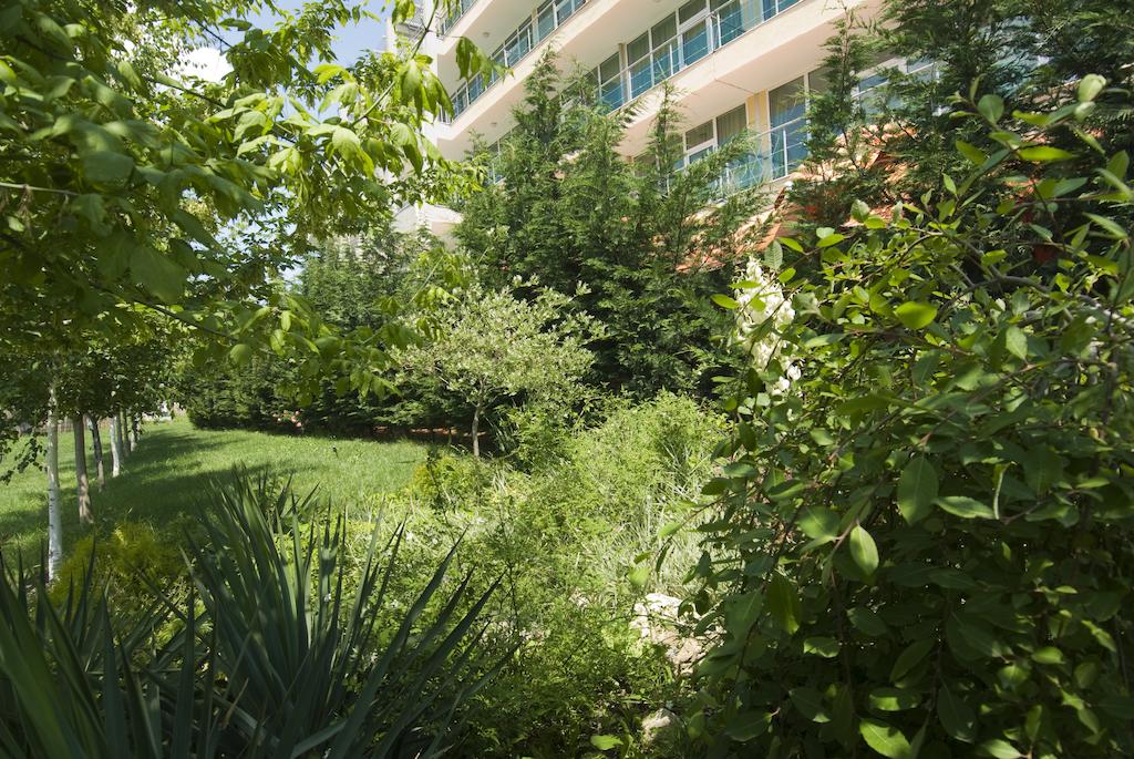Imagine Hotel Ivana Palace