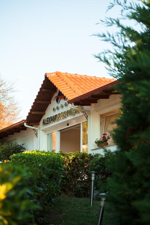 Imagine Hotel Alexandros Palace