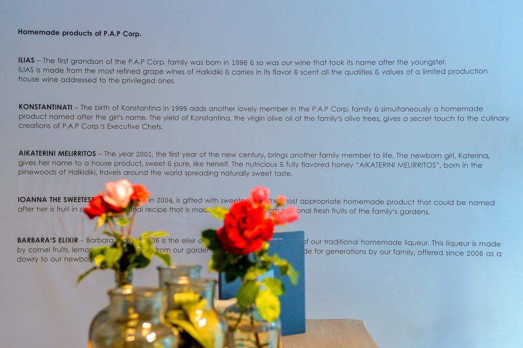 Imagine Hotel Alexander The Great