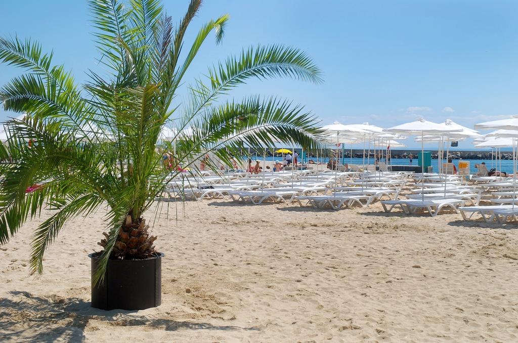 Imagine Hotel Dolphin