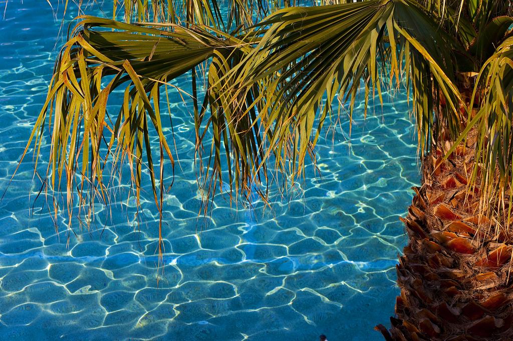 Imagine Hotel Flegra Palace