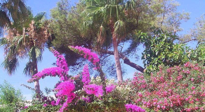 Imagine Hotel Oleander