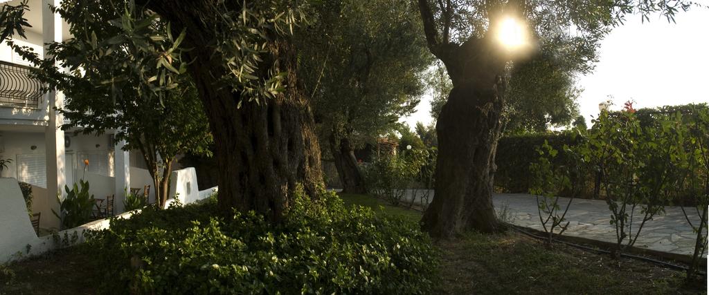 Imagine Hotel Kriopigi Beach