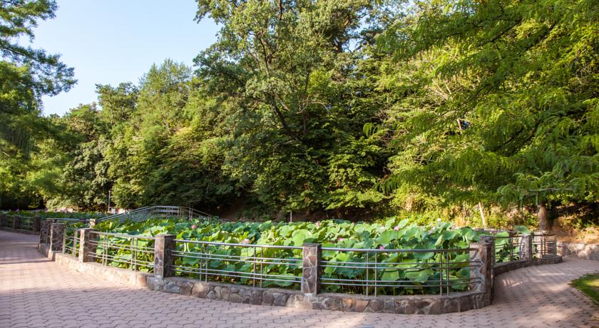 Imagine Hotel Nufarul