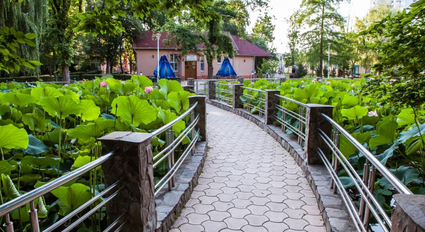 Imagine Hotel Nufarul