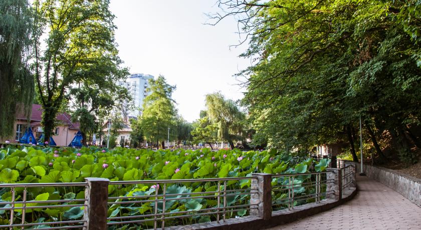 Imagine Hotel Nufarul