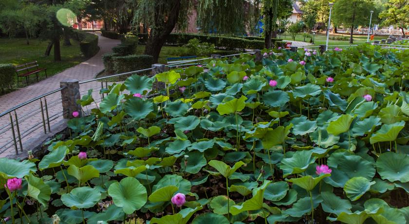 Imagine Hotel Nufarul