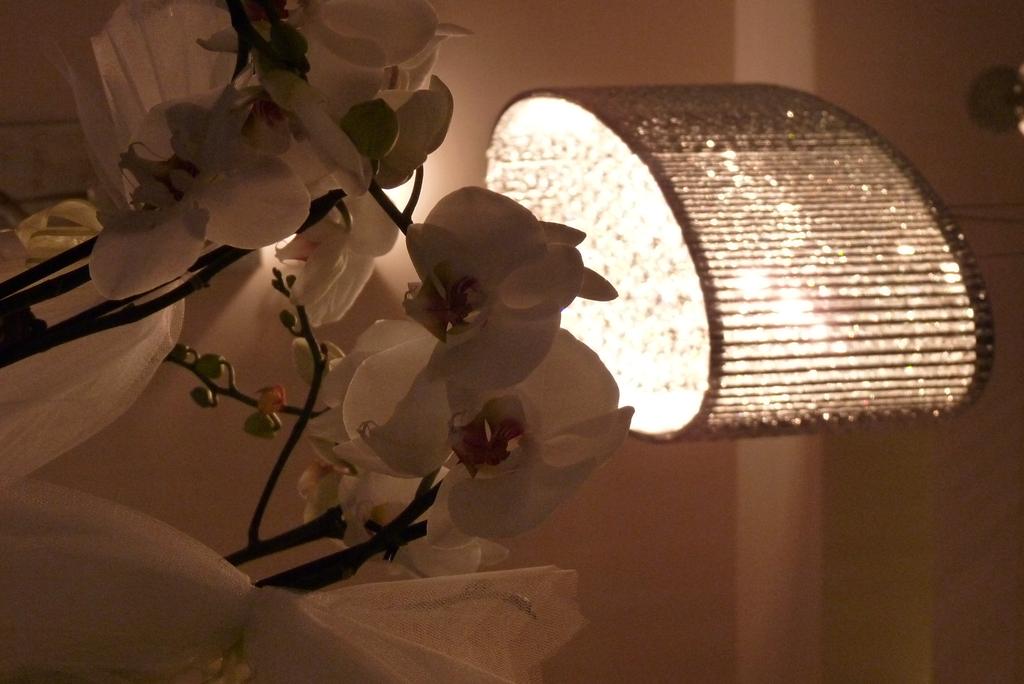 Imagine Hotel Royal Boutique