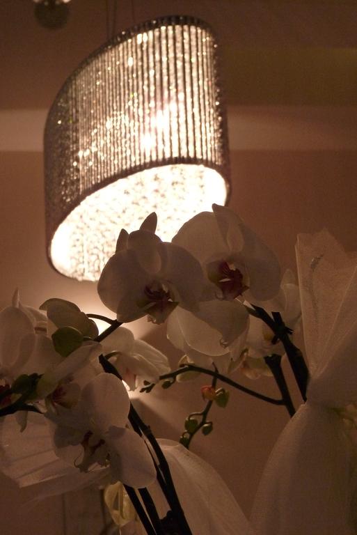 Imagine Hotel Royal Boutique