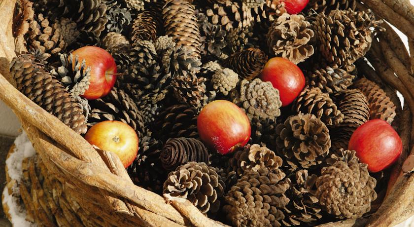 Imagine Hotel Tirolerhof