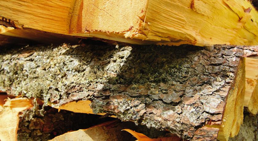 Imagine Hotel Tirolerhof