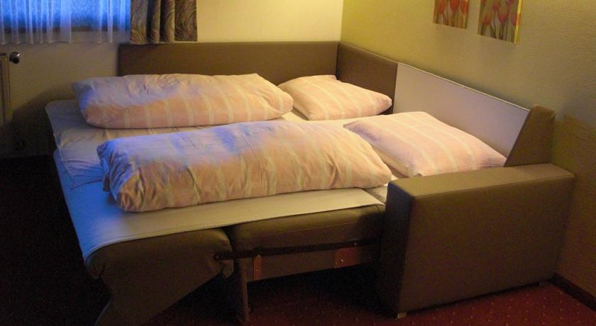 Imagine Pensiunea Flora - Saalbach-hinterglemm