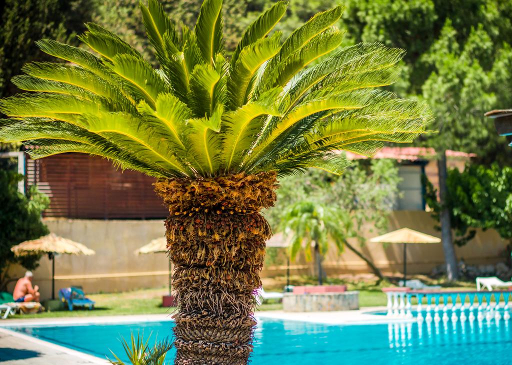 Imagine Hotel Achousa