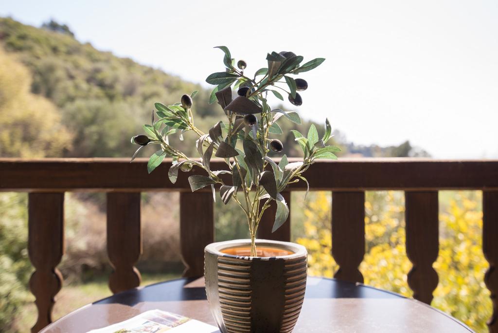 Imagine Hotel Azapiko Blue Sea