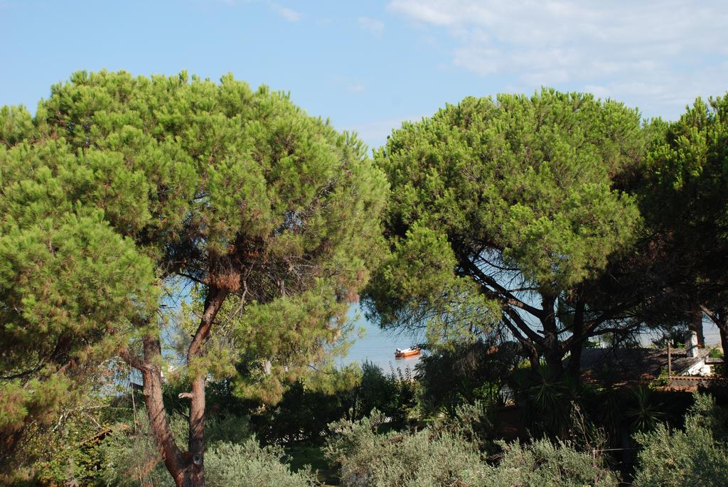 Imagine Hotel Diaporos