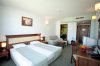 Imagine Hotel Lion 