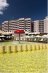 Imagine Hotel Barcelo Royal Beach 