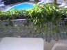 Imagine Hotel Calypso 