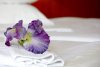 Imagine Hotel Maestral 