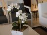 Imagine Hotel Anabel 