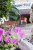 Imagine Hotel Pinero Tal 