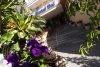 Imagine Hotel Pinero Tal 