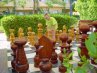 Imagine Hotel Calimera Golden Beach 