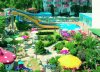 Imagine Lonicera World 