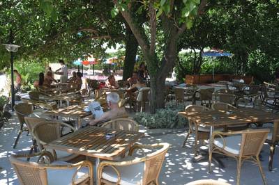 Imagine Hotel Tropikal