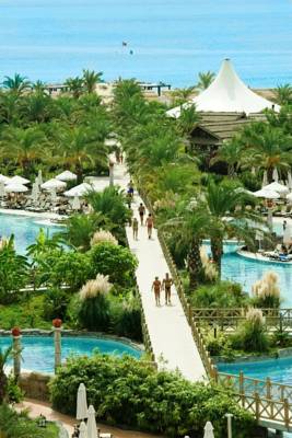 Imagine Hotel Royal Wings