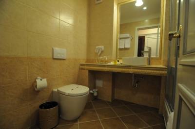 Imagine Hotel Foisorul Cu Flori