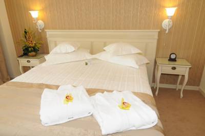 Imagine Hotel Foisorul Cu Flori