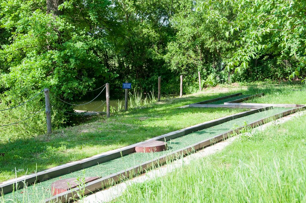 Imagine Hotel President