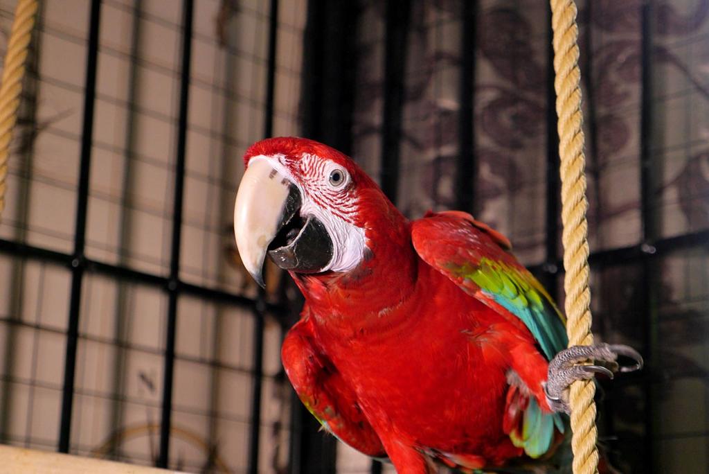 Imagine Bicaz Pirates  Resort Mamaia