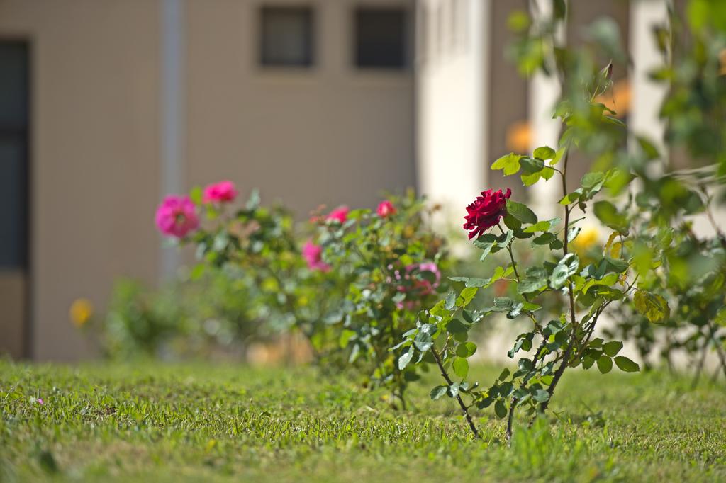 Imagine Hotel Kymi Palace
