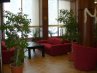 Imagine Hotel Orpheus 